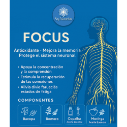 Focus promocional