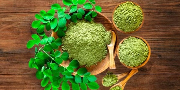  Beneficios de la moringa